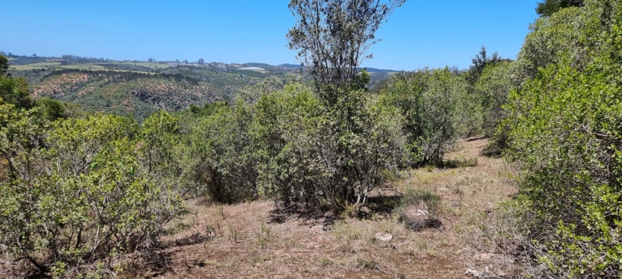  Bedroom Property for Sale in Knysna Rural Western Cape